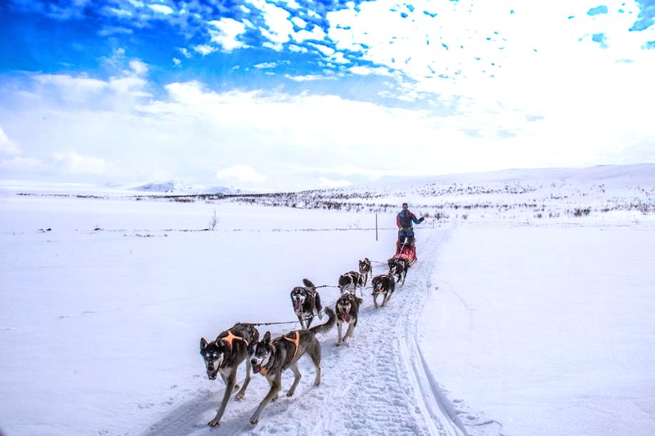 voyages séjours Laponie finlandaise suédoise 2024 2025 2026 Laponie Expert